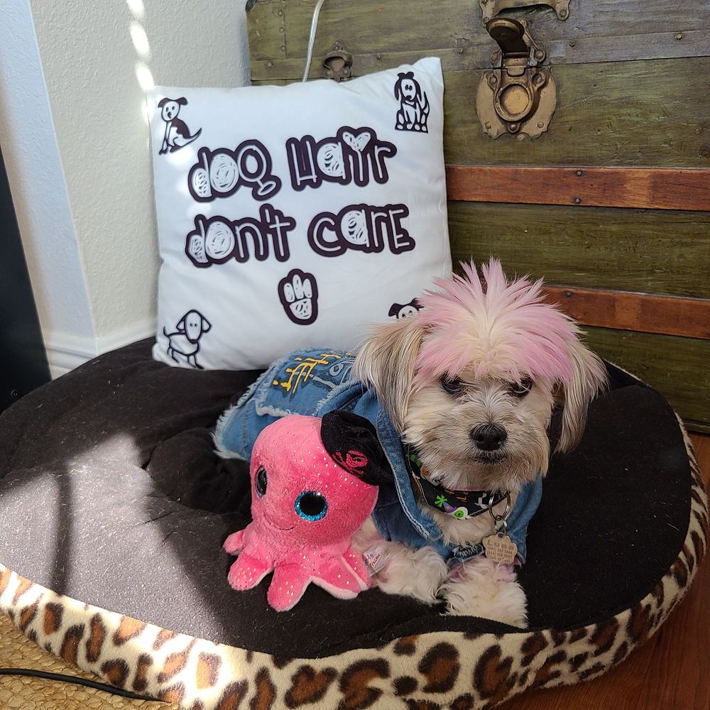 Decorative Pillow  Perfect gift For Dog Lovers